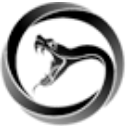 Viper Energy, Inc. Class A Share Price